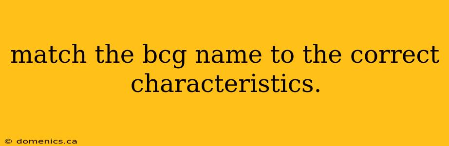 match the bcg name to the correct characteristics.