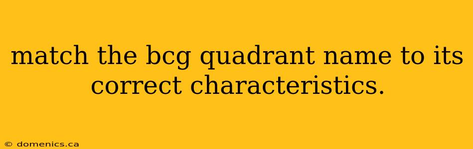 match the bcg quadrant name to its correct characteristics.