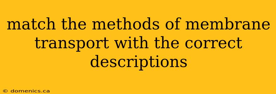 match the methods of membrane transport with the correct descriptions