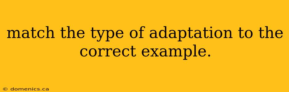 match the type of adaptation to the correct example.