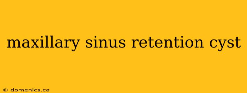 maxillary sinus retention cyst