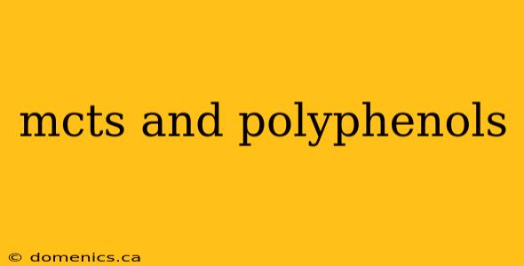 mcts and polyphenols