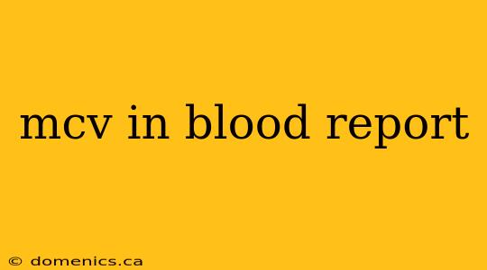 mcv in blood report