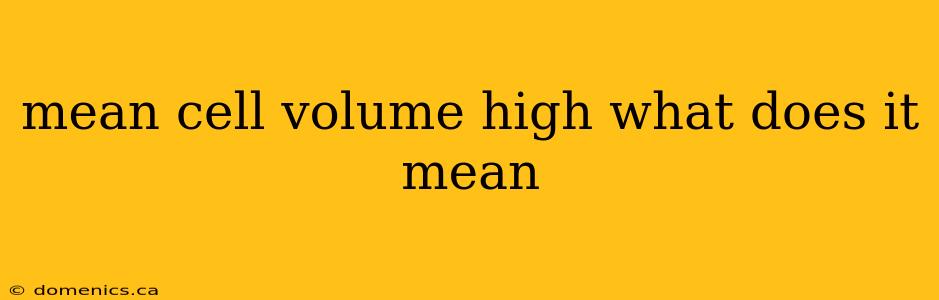 mean cell volume high what does it mean