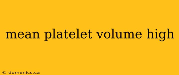 mean platelet volume high