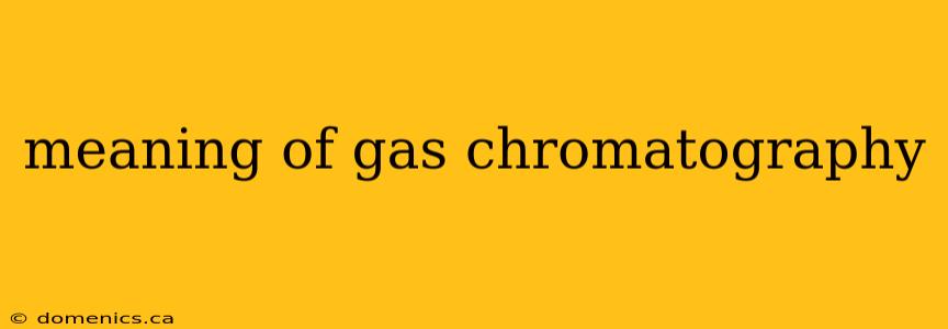 meaning of gas chromatography