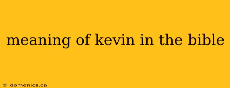 meaning of kevin in the bible