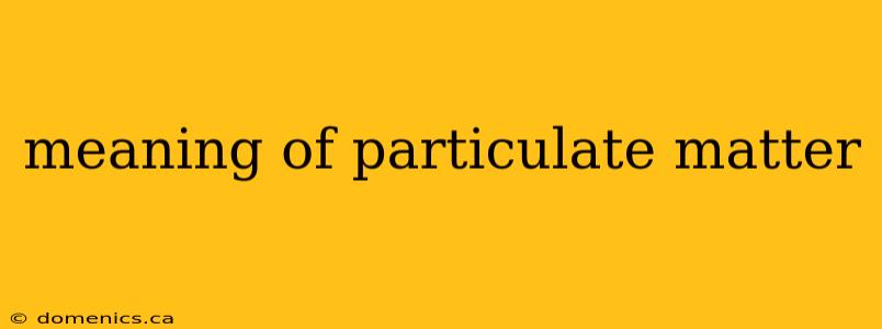 meaning of particulate matter