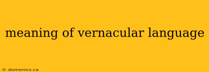 meaning of vernacular language