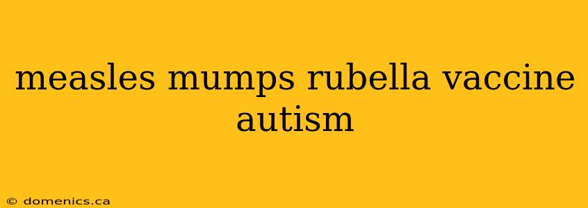 measles mumps rubella vaccine autism