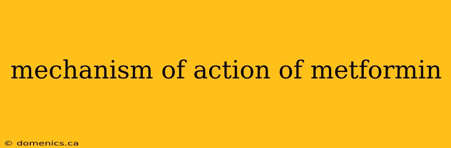 mechanism of action of metformin