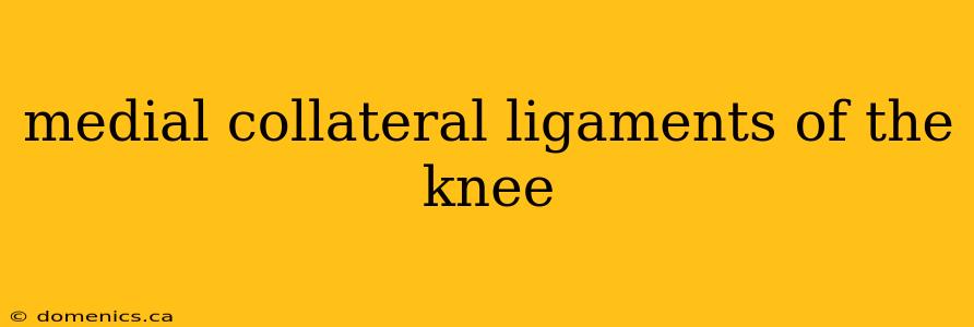 medial collateral ligaments of the knee