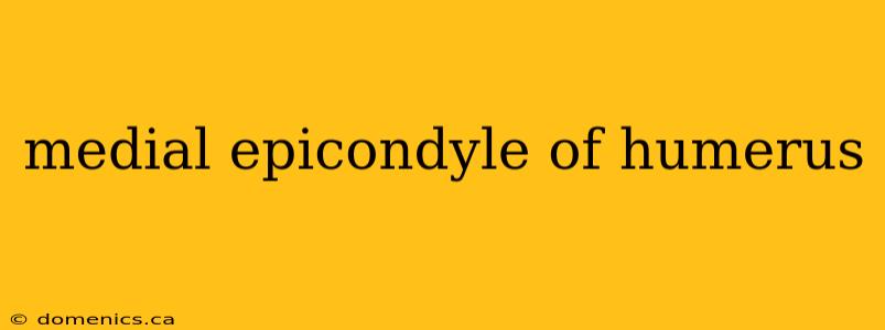 medial epicondyle of humerus