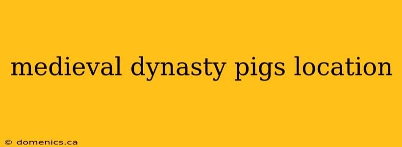 medieval dynasty pigs location