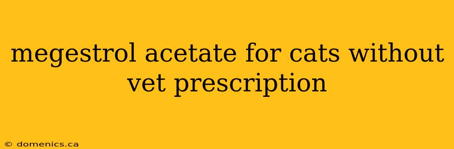 megestrol acetate for cats without vet prescription