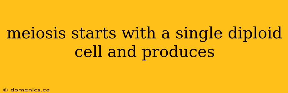 meiosis starts with a single diploid cell and produces