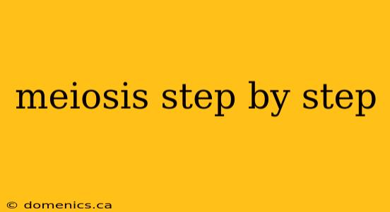 meiosis step by step