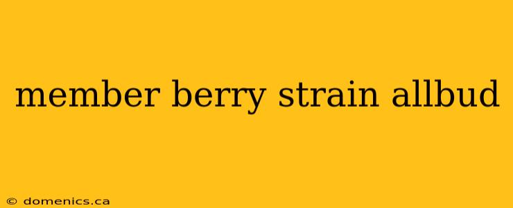 member berry strain allbud