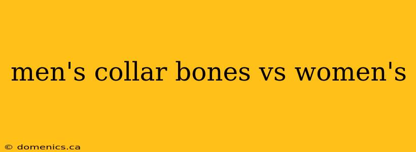 men's collar bones vs women's