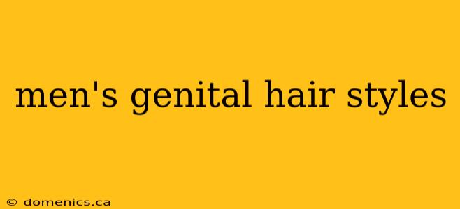 men's genital hair styles