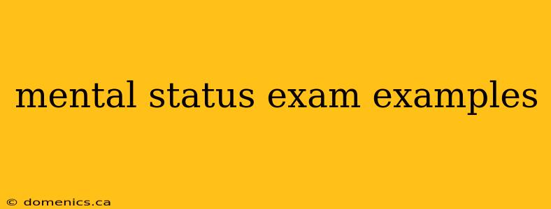 mental status exam examples