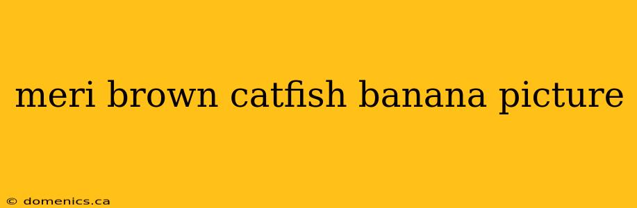 meri brown catfish banana picture