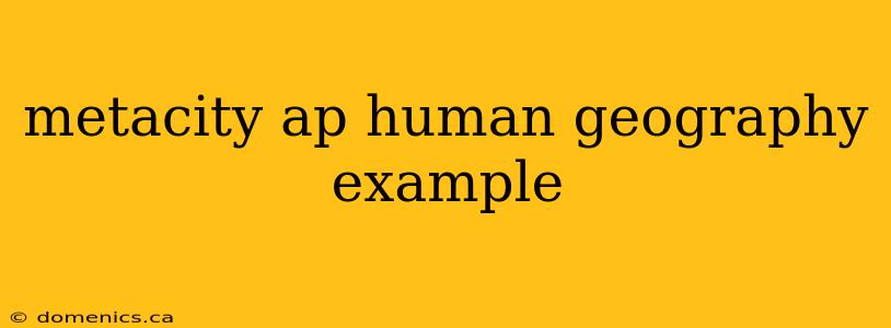 metacity ap human geography example