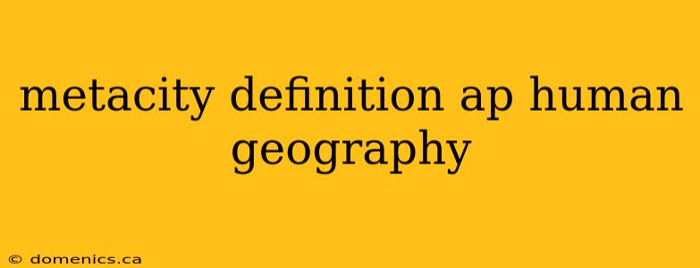 metacity definition ap human geography