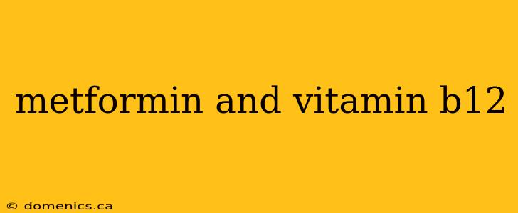 metformin and vitamin b12