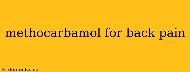 methocarbamol for back pain