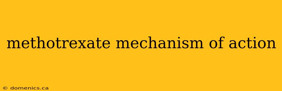 methotrexate mechanism of action