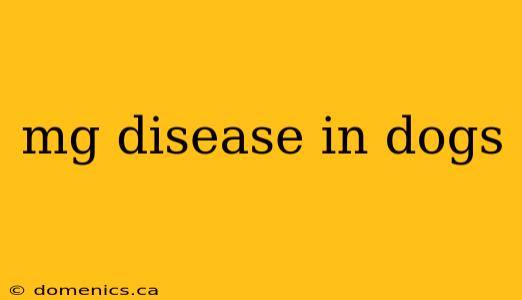 mg disease in dogs