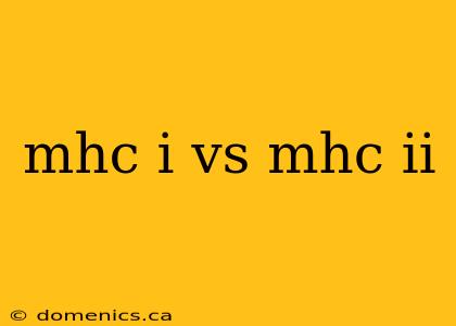 mhc i vs mhc ii