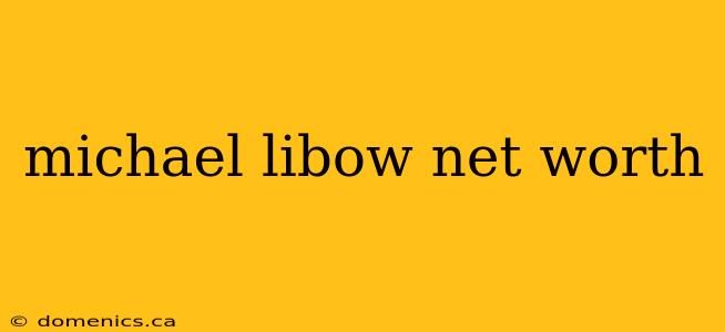 michael libow net worth