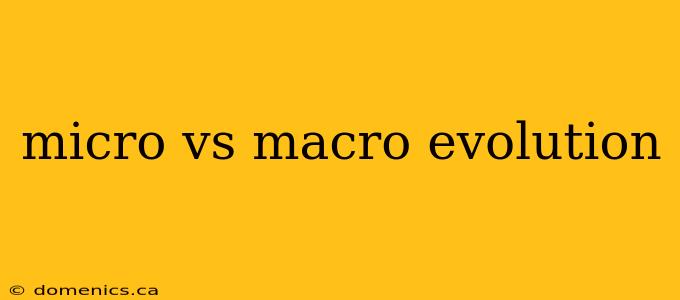 micro vs macro evolution