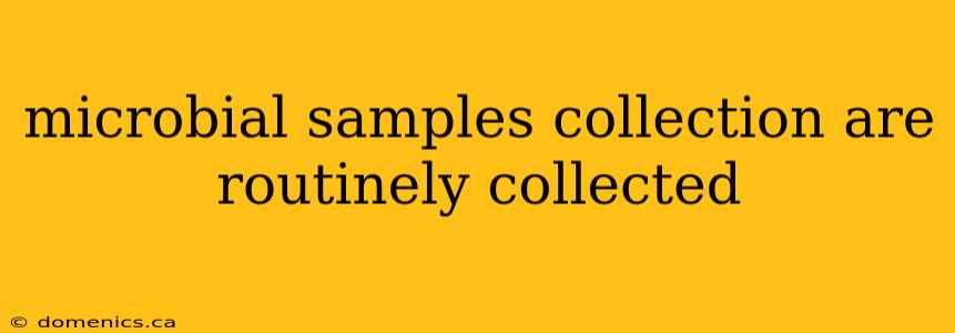 microbial samples collection are routinely collected