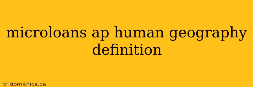 microloans ap human geography definition