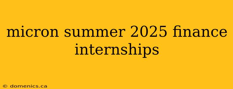 micron summer 2025 finance internships