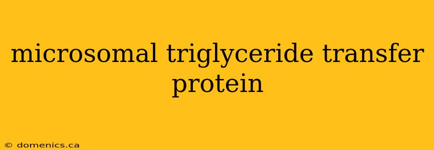 microsomal triglyceride transfer protein