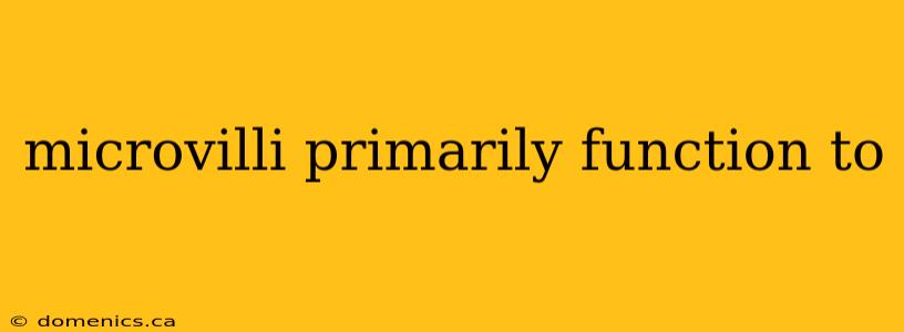 microvilli primarily function to