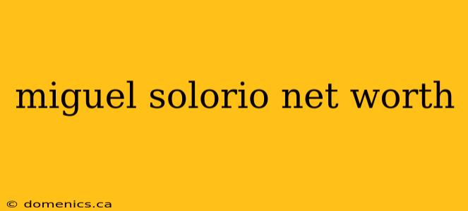 miguel solorio net worth