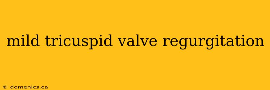 mild tricuspid valve regurgitation