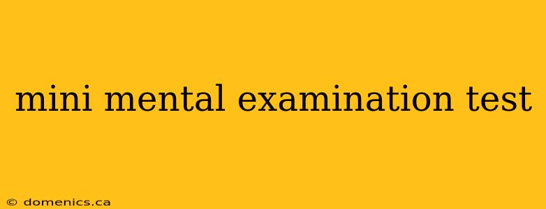 mini mental examination test