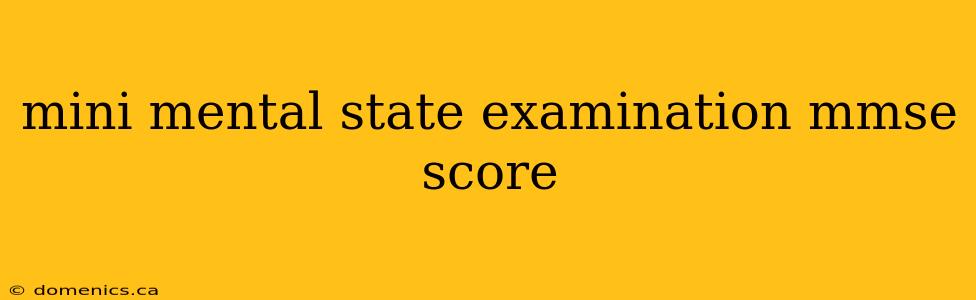 mini mental state examination mmse score