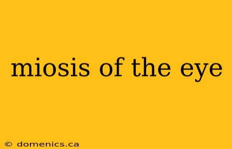 miosis of the eye