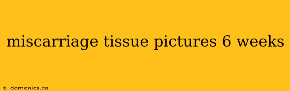 miscarriage tissue pictures 6 weeks