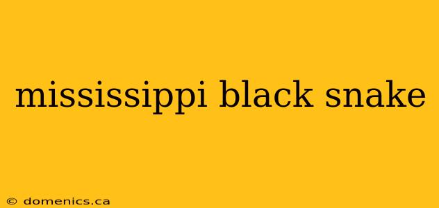 mississippi black snake