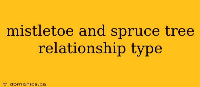 mistletoe and spruce tree relationship type