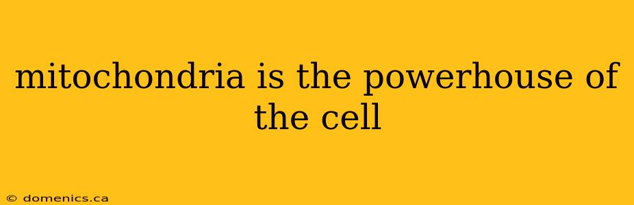 mitochondria is the powerhouse of the cell