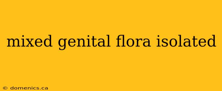 mixed genital flora isolated